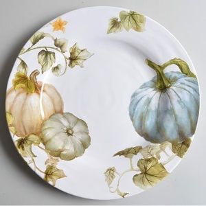 Pier 1 Imports Dinner Plates NWT 4